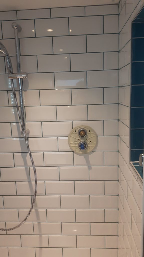 Shower Room – Finished Dec 2017